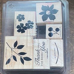 Stampin Up!